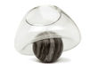 Vase Vanessa Mitrani GRAVITY 1 Ball Chrome Contemporary / Modern