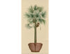 Wallpaper Iksel   Potted Palms PT 01 Oriental / Japanese / Chinese