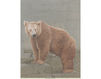 Wallpaper Iksel   Animals BROWN BEAR Oriental / Japanese / Chinese