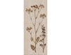 Wallpaper Iksel   Herbier Herb 8 Oriental / Japanese / Chinese