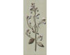 Wallpaper Iksel   Herbier Herb 7 Oriental / Japanese / Chinese