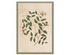 Wallpaper Iksel   Renaissance Herbier RH 34 Oriental / Japanese / Chinese