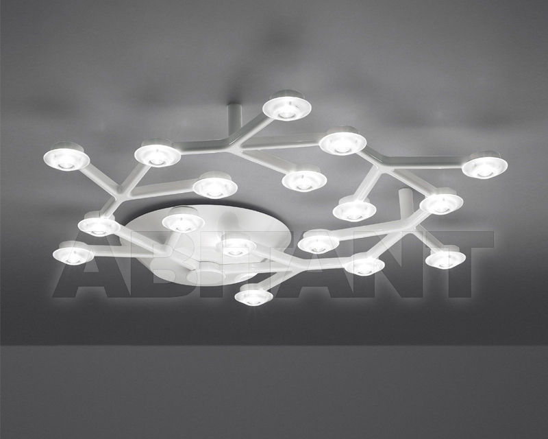 Light Led Net 1594050A price on request Buy Light Led Net Artemide S.p.A. 2016 1594050A