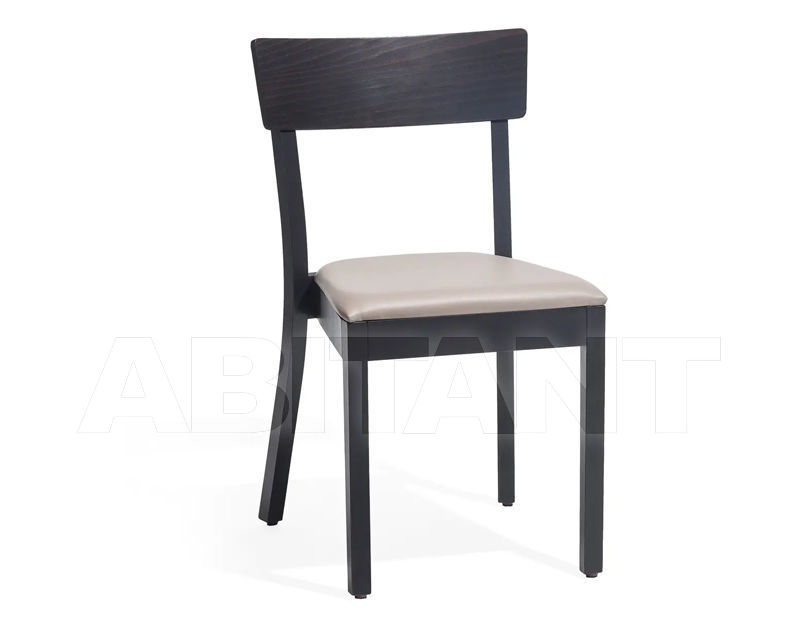 Buy Chair Bergamo TON a.s. 2019 313 710