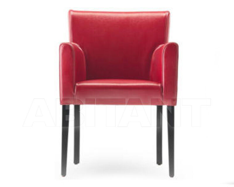 Buy Chair Morello Gianpaolo 2024 429/P