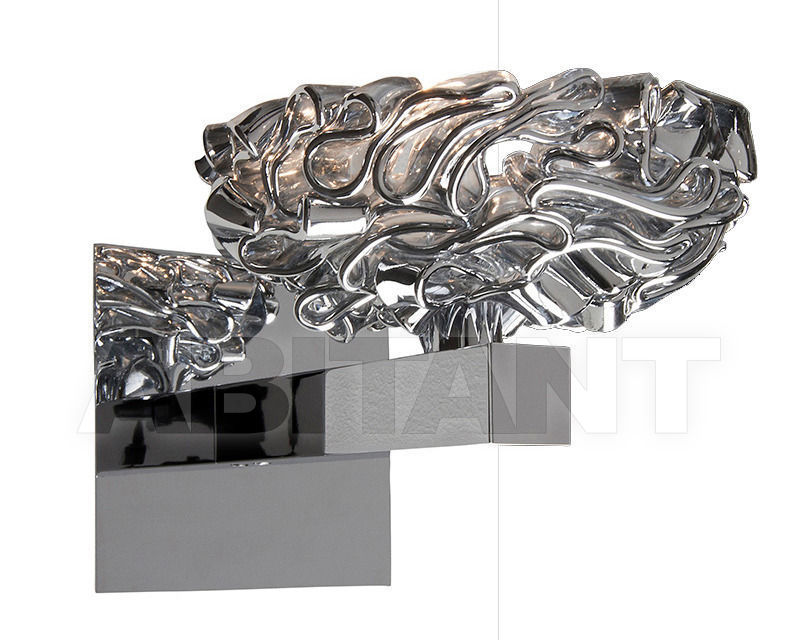 Buy Bracket Ilfari Flowers From Amsterdam 10811