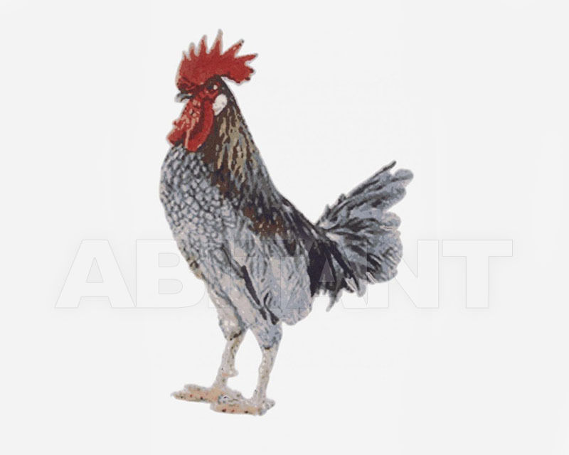 Buy Designer carpet Nodus by IL Piccoli Limited Edition ROOSTER