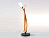 Buy Table lamp LIGHT TULIP  Holländer 2014 300 K 12198