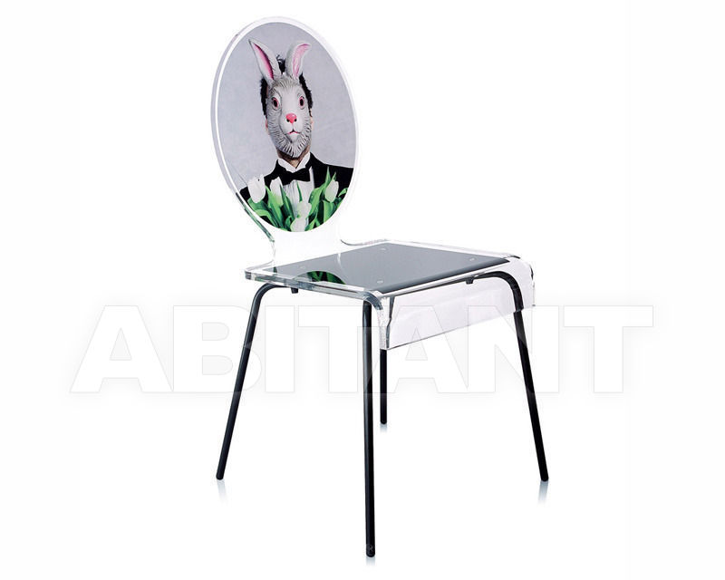 Buy Chair Acrila Graph Line Chair Rabbit Graph collection