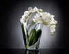 Buy Vase Tropical VGnewtrend Home Decor 1141378.95
